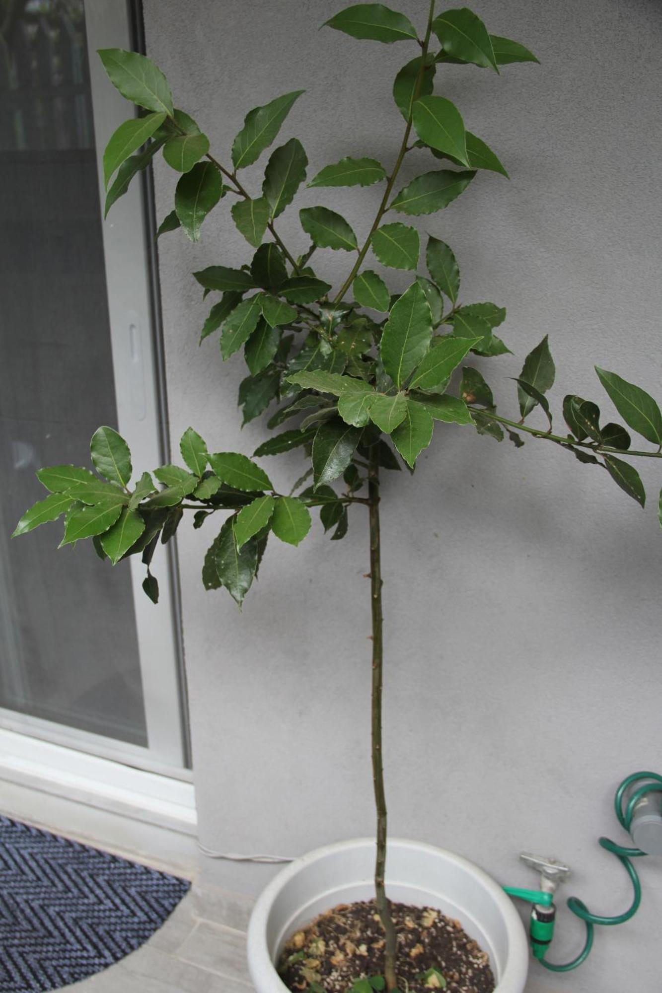 Apartment Patra Greece Buitenkant foto